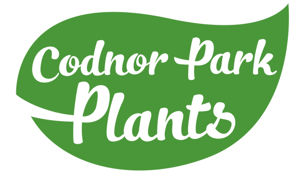 Codnor Park Plants